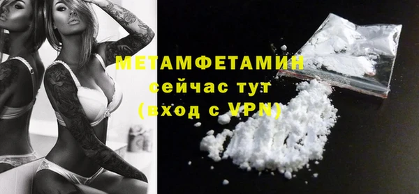 молекула духа Ладушкин