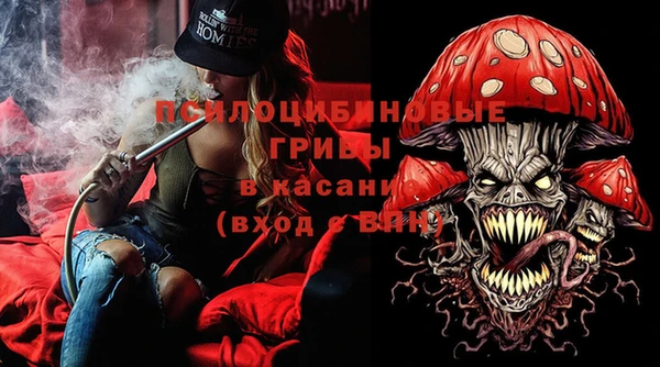 спайс Лагань