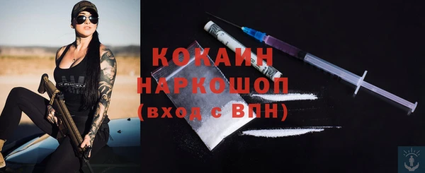 молекула духа Ладушкин