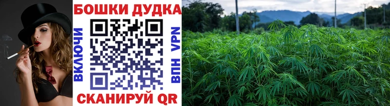Бошки Шишки Bruce Banner  наркошоп  Ленинградская 